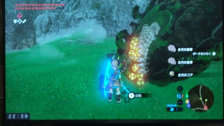 【ゼルダBotW】古代アイテム無限入手の裏技 | 興味のあること備忘録